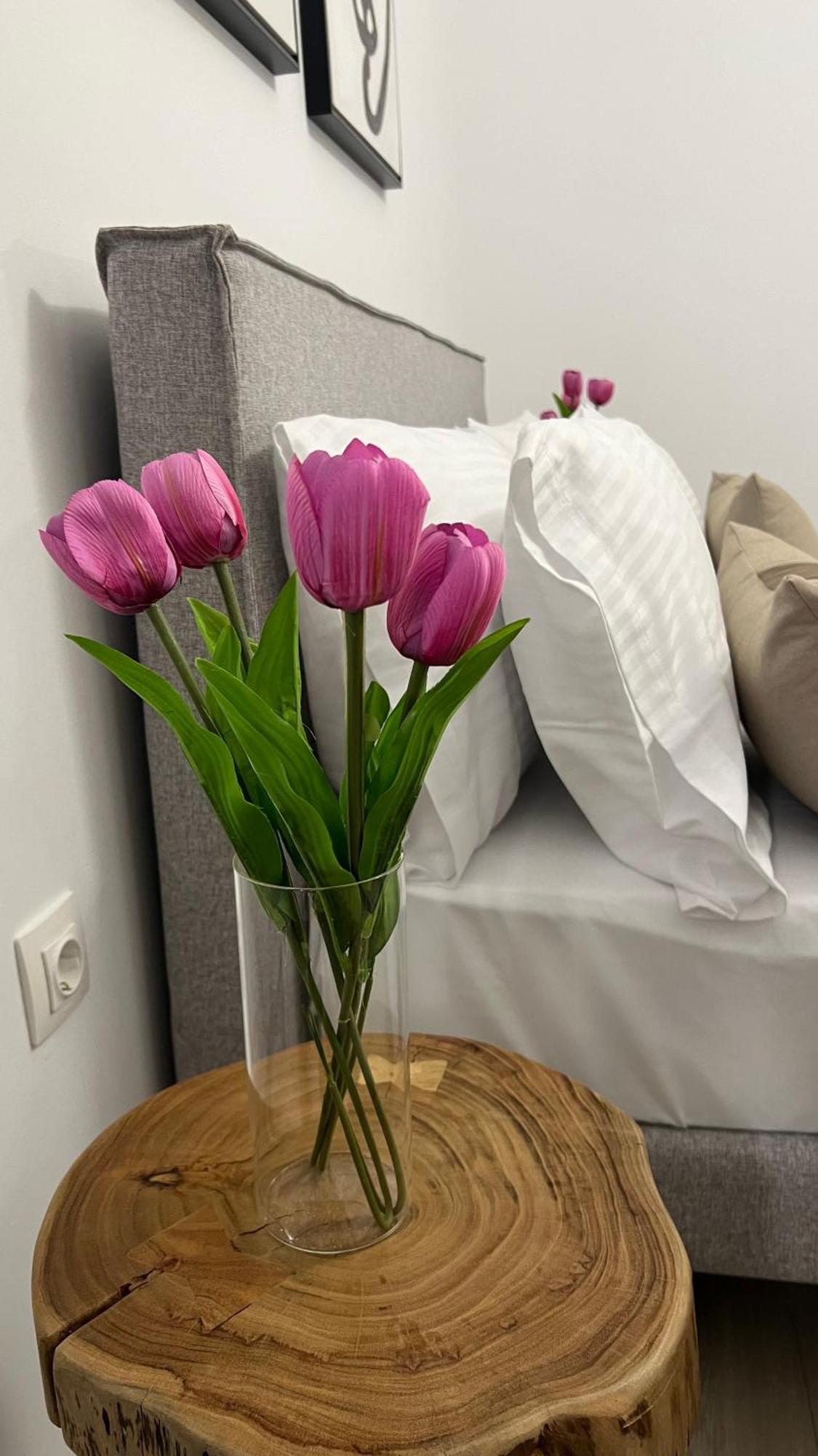 Sias Apartment アレクサンドルポリス エクステリア 写真